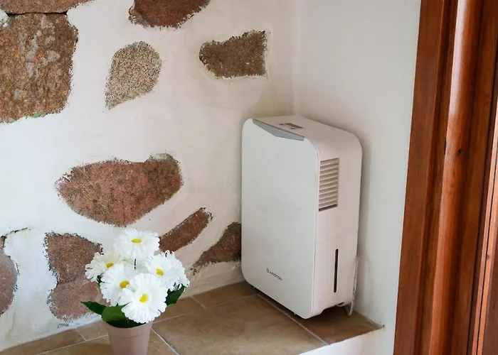 Welcomely - Casa Shardana אולביה